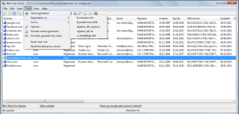 Domain list main form
