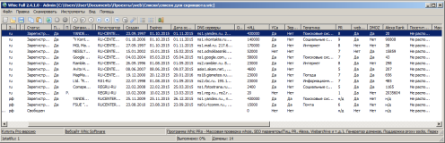 Whic 2.4 pro. Колонки с метриками сайта. Сканирование